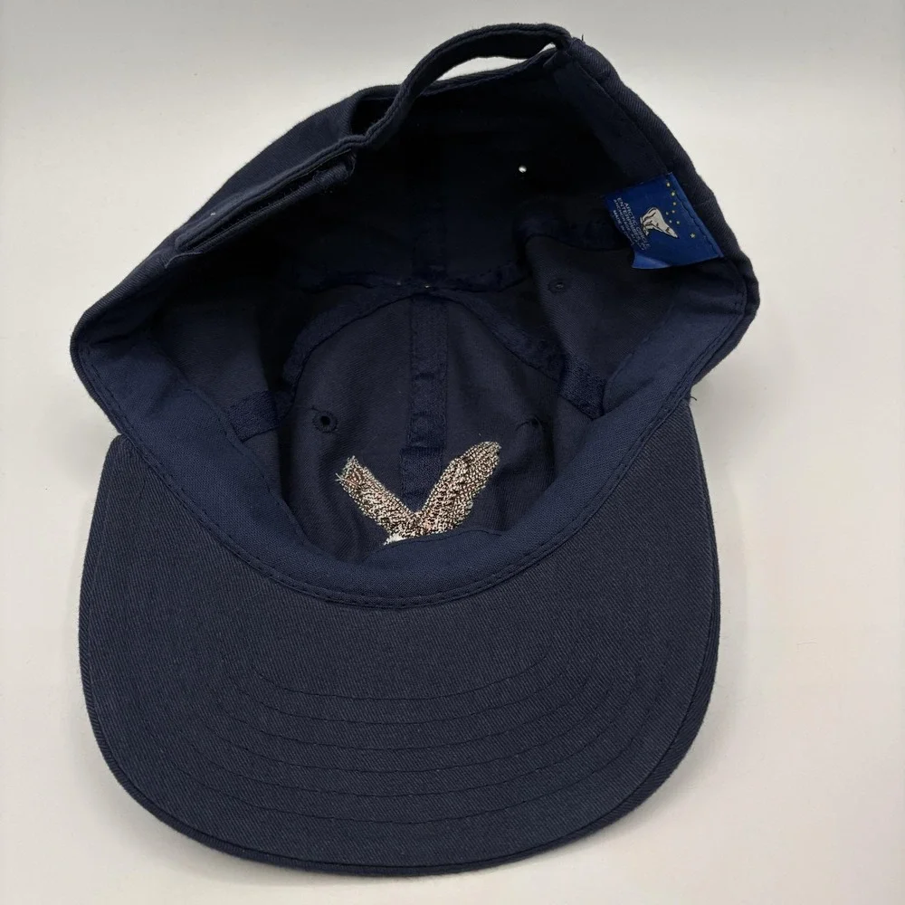 Vintage Alaska Eagle Hat Arctic Circle Enterprises Strap Back One Size Blue